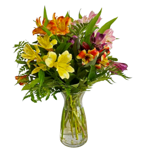 Alstro in Vibe Vase