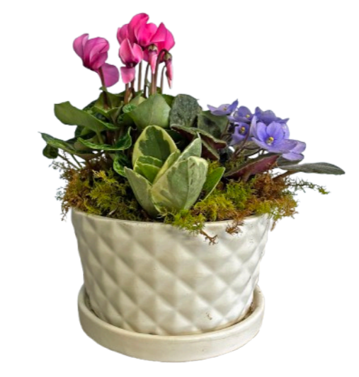 Vibrant Garden Planter