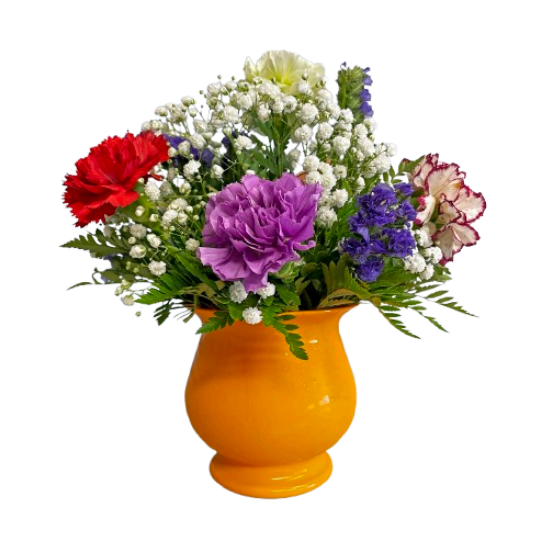 Carnation & Baby's Breath in Plastic Vase